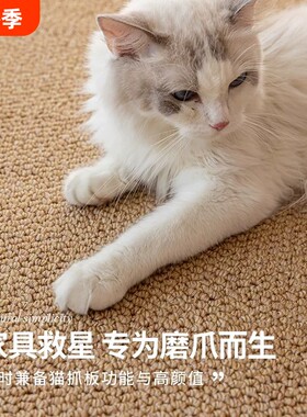猫抓垫菠萝圈地毯客厅防剑麻猫抓板耐磨不掉屑沙发保护垫可裁剪