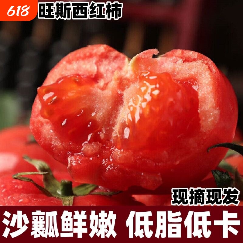 陕西渭南水果番茄自然熟生吃自熟沙瓤新鲜普罗旺斯西红柿现摘