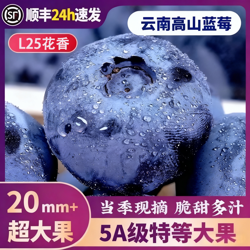 云南蓝莓王I当天发货I顺丰包邮