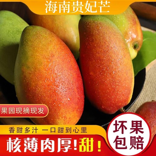 【官方推荐】海南三亚贵妃芒果