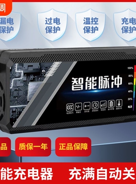 电动车电瓶充电器48v12ah60v20a72v适用于爱玛雅迪三轮铅酸石墨烯