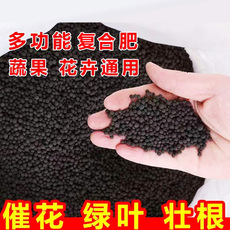 家庭园艺肥料 氮磷钾多元素复合肥种菜种花通用