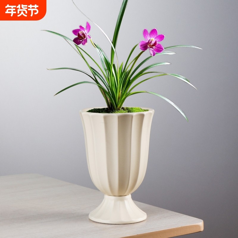 现代ins桌面陶瓷绿植蝴蝶兰盆栽简约亚光室内北欧风罗马条纹花盆,鲜花速递/花卉仿真/绿植园艺,花盆,淘宝优惠券,粉丝福利购,淘宝优惠卷