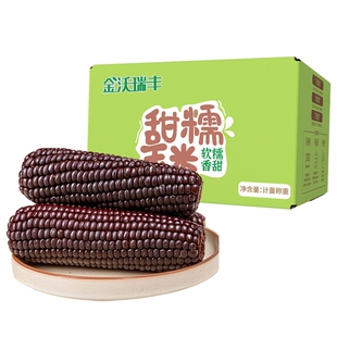 【非转基因】黑糯玉米段180gx10根