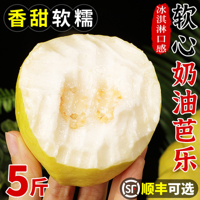 福建软糯奶油芭乐新鲜水果当季软心番石榴白心芭乐应季现摘水果