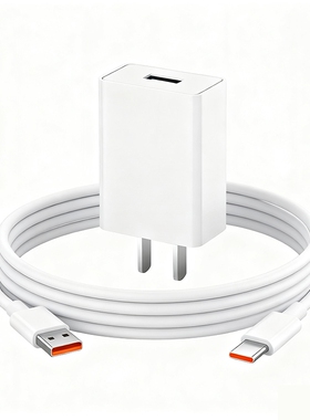 驯龙师5V2A单口充电头+Type-C白线1米单条套装