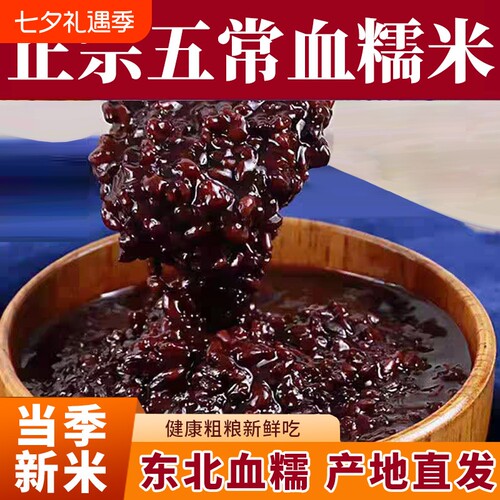 正宗五常软糯糙米粗粮东北黑糯米500g新米酒酿饭团杂粮奶茶血糯米