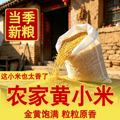 陕西米脂小米小黄米粥黄小米粥五谷杂粮粥农家新鲜小米苦荞优质