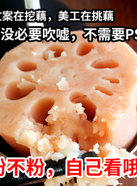 正宗洪湖粉藕莲藕煲汤藕现发糯米藕炖汤九孔藕湖北红莲藕挖现新鲜