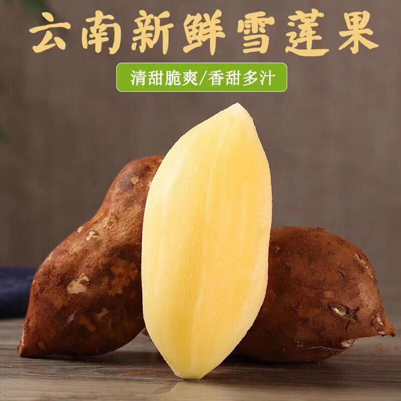 云南昆明现挖2025年新果云南高原天山黄心雪莲果新鲜水果脆甜多汁