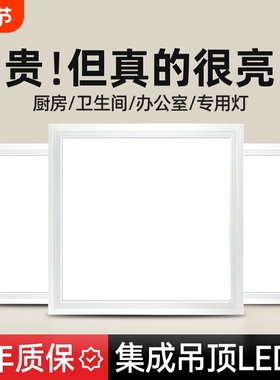 集成吊顶led灯厨房卫生间灯铝扣板嵌入式30x30x60x300x600平板灯