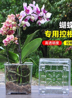 加高透明树脂塑料正方形花盆透气控根蝴蝶兰洋可视观察植物根系