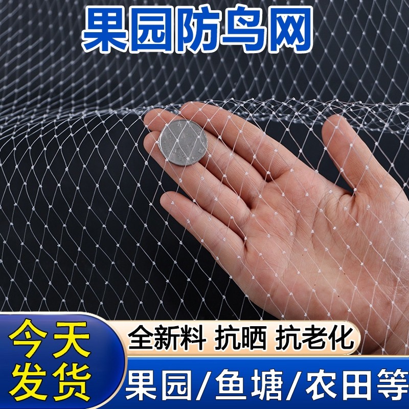 尼龙防鸟网嘉宝果树果园大棚用网罩樱桃葡萄鱼塘养殖阳台防鸟神器