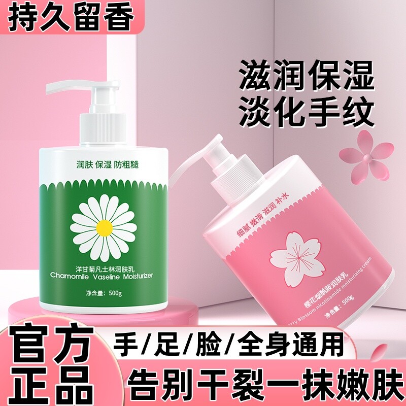 洋甘菊护手霜小甘菊补水滋润保湿防干裂男女全身通用按压式大容量
