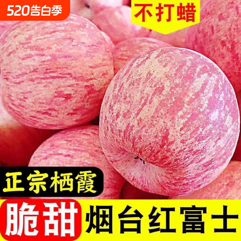 正宗山东烟台红富士苹果脆酸甜苹果新鲜水果薄皮优质苹果栖霞苹果