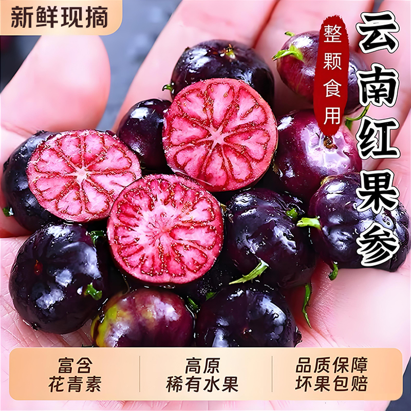 云南红果参应当季蜘蛛果新鲜水果稀罕见现摘算盘果特大果整颗可食