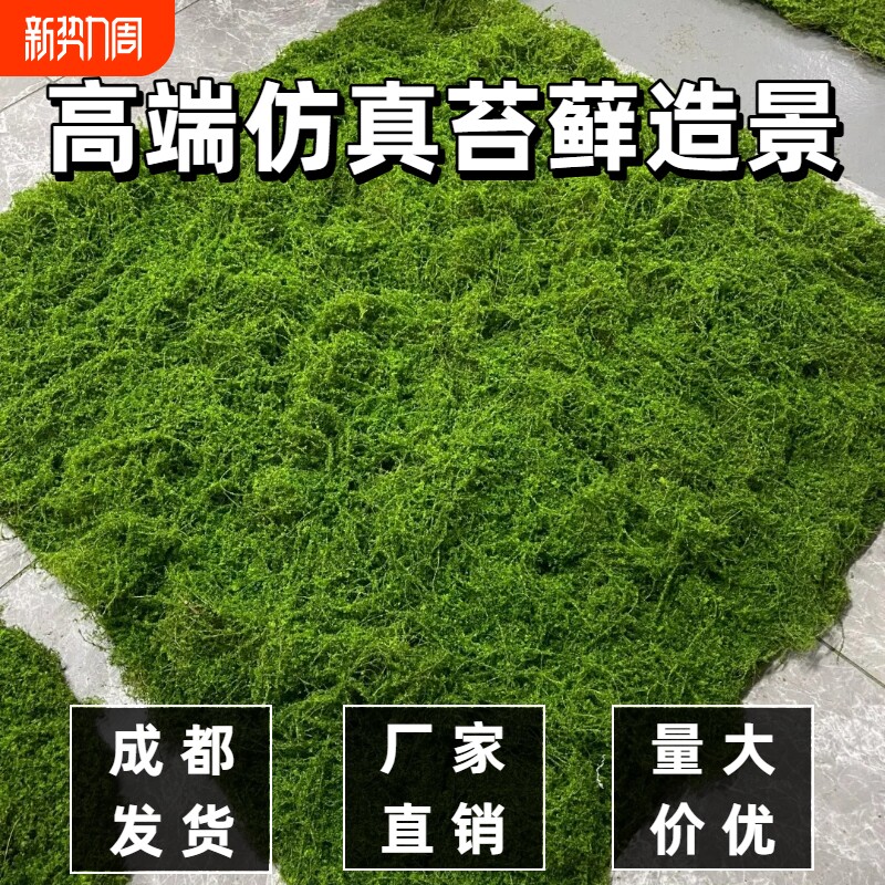 仿真苔藓草皮室内造景装饰百搭假苔藓盆景微景观植绒铺面绿植墙