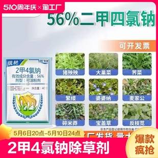 56%二甲四氯钠2甲二钾4氯钠小麦马尼拉草坪阔叶杂草除草剂13%喷雾