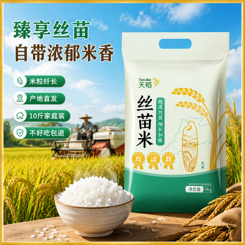 开薪稻坊广东长粒香米10斤正宗丝苗米一级5KG蛋炒饭普通原粮标准