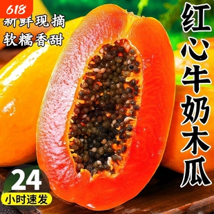 红心牛奶木瓜树上熟10斤新鲜孕妇水果当季冰糖心青皮木瓜现摘整箱