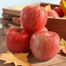 烟台栖霞红富士特特特特特特价 鲜果果肉脆嫩满汁水 苹果当季