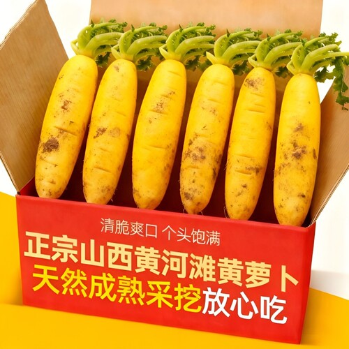 山西黄萝卜沙地手抓饭