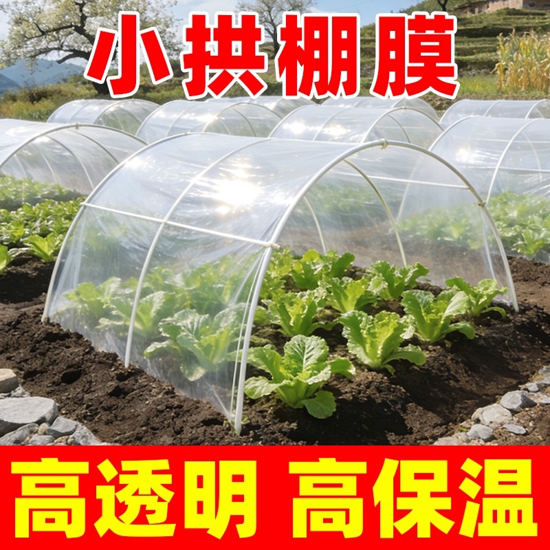 种菜小拱棚膜专用农用塑料薄膜保温透明大棚膜抗老化蔬菜防寒暖棚