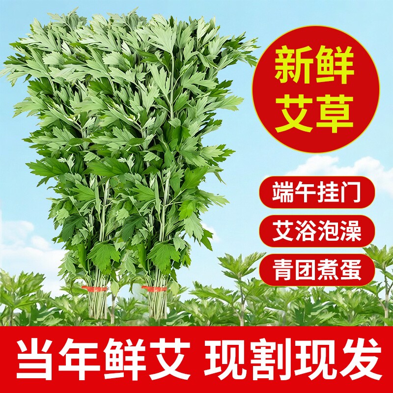 端午节新鲜艾草花束挂门窗礼品装饰整棵带杆泡澡礼品挂饰diy成品