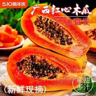 广西红心牛奶木瓜新鲜水果当季整箱树上熟孕妇下奶冰糖心雷州木瓜