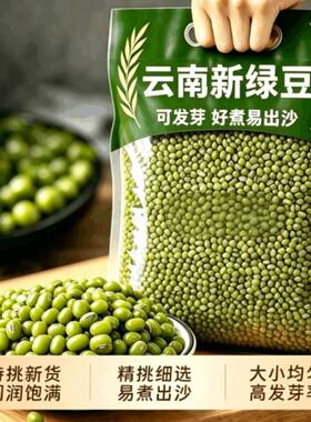 绿豆新货优质云南农家袋装新鲜批发汤今年大颗粒发豆芽大粒发芽