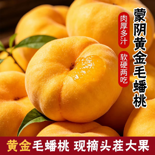 黄蟠桃新鲜水果整箱当季山东蒙阴黄金蟠桃应季桃子脆甜毛现摘大果