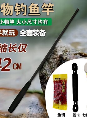 小物钓鱼竿套装便携式鱼竿儿童钓