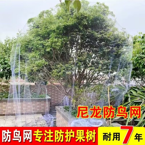防鸟网果树果园大棚防鸟用网
