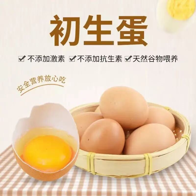 正宗散养新鲜土鸡蛋农家自养草鸡蛋初生蛋柴鸡蛋笨鸡蛋早餐多规格