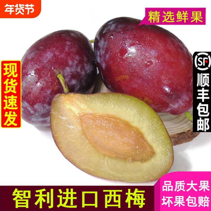 现货 智利西梅大果甜李子新鲜水果孕妇法兰西西梅当季批发包邮,水产肉类/新鲜蔬果/熟食,西梅,淘宝优惠券,粉丝福利购,淘宝优惠卷