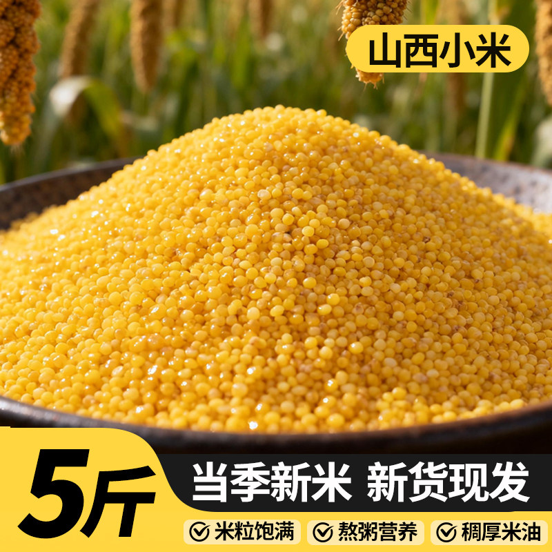 山西黄小米5斤新米米油宝宝辅食月子米养胃五谷杂粮小黄米多规格