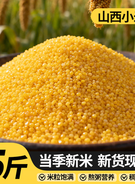 山西黄小米5斤新米米油宝宝辅食月子米养胃五谷杂粮小黄米多规格