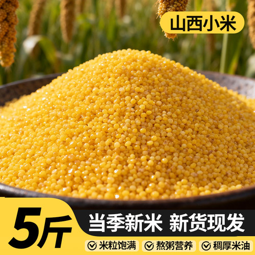 山西黄小米5斤新米米油宝宝辅食月子米养胃五谷杂粮小黄米多规格