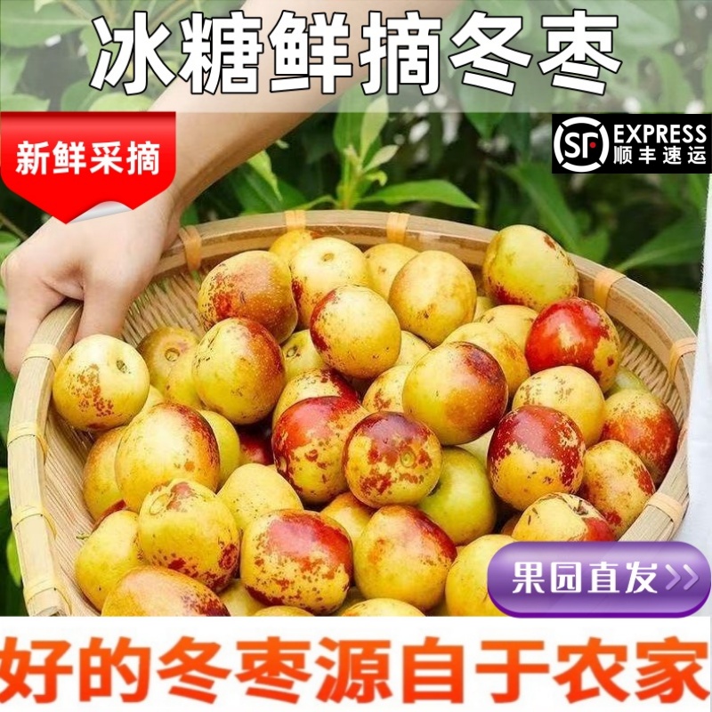 顺丰包邮正宗冬枣新鲜大果应季整箱枣子现摘脆枣冰糖大枣当季水果