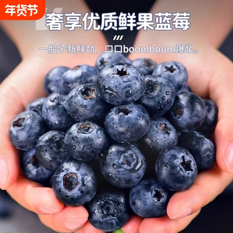 秘鲁进口蓝莓新鲜水果细腻多汁当季高端鲜果现摘现发蓝美大果