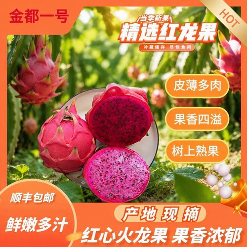 红心火龙果新鲜现摘香甜可口