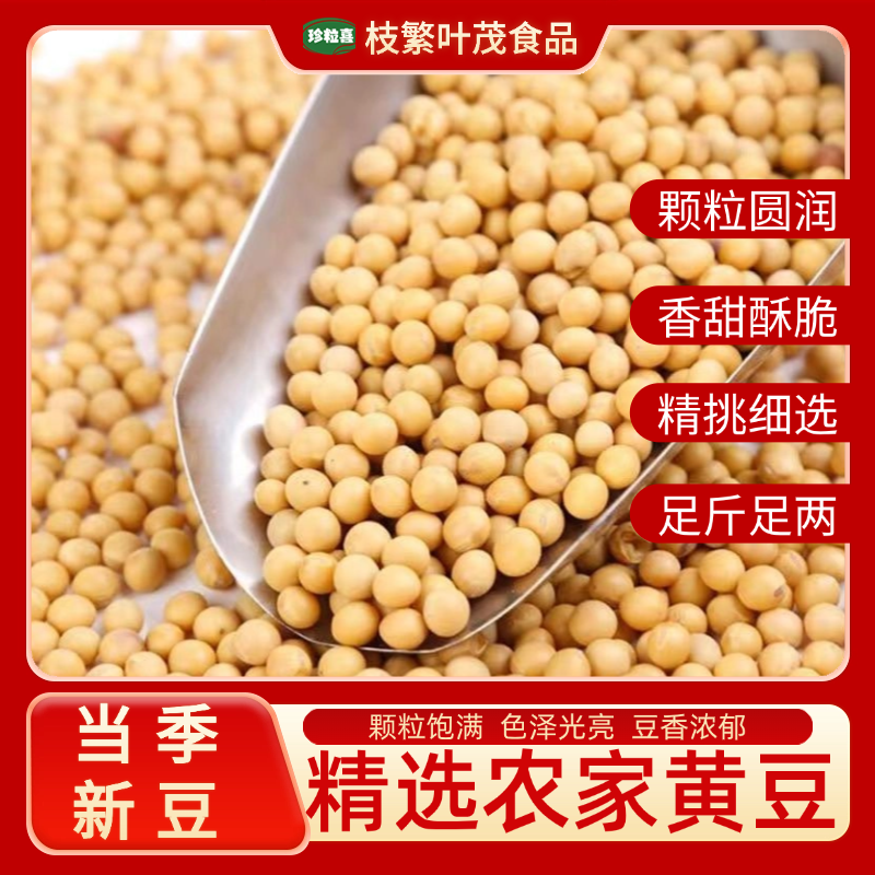 云南黄豆农家优质新货黄豆大豆豆浆豆芽高蛋白生豆芽打豆浆豆批发