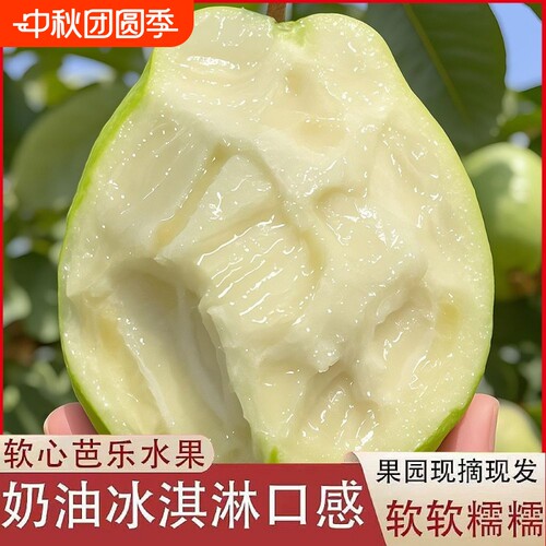 正宗广东白心芭乐软糯软心