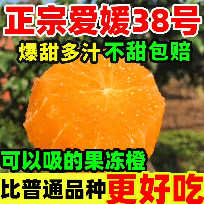 正宗四川38号爱媛果冻橙应季新鲜水果现摘现发汁多肉嫩