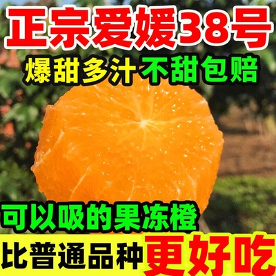 正宗四川38号爱媛果冻橙应季新鲜水果现摘现发汁多肉嫩