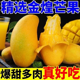 海南金煌芒果9斤装 新鲜水果甜蜜特产 包邮 整箱 一级甜心芒大果当季