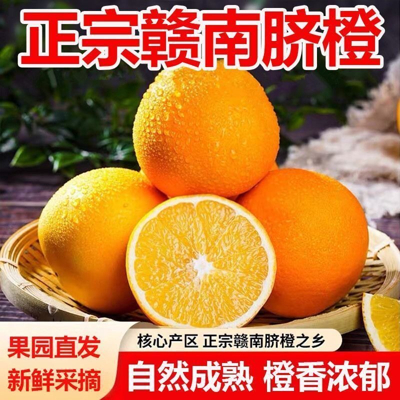 江西正宗赣南脐橙甜蜜多汁现采直发天然维c水果橙子新鲜脐橙