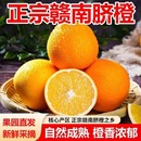 江西赣南脐橙手剥甜橙甜蜜多汁现采直发儿童孕妇应季 水果橙子