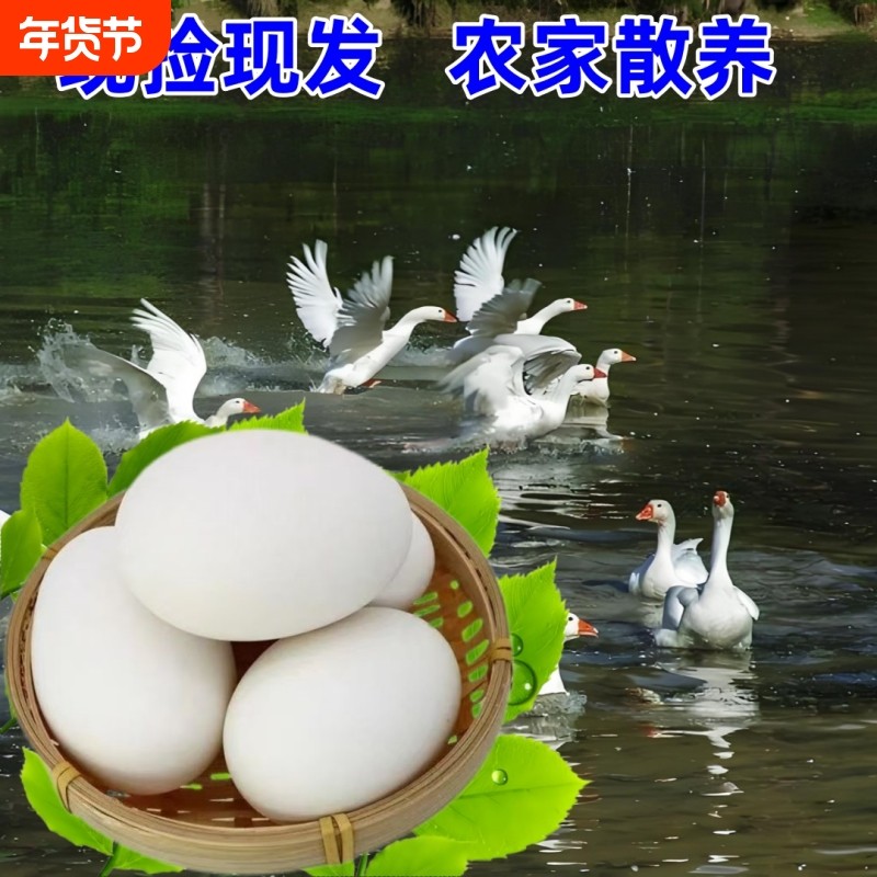 农家散养新鲜鹅蛋大鹅蛋正宗土鹅蛋现捡现发,水产肉类/新鲜蔬果/熟食,鹅蛋,淘宝优惠券,粉丝福利购,淘宝优惠卷