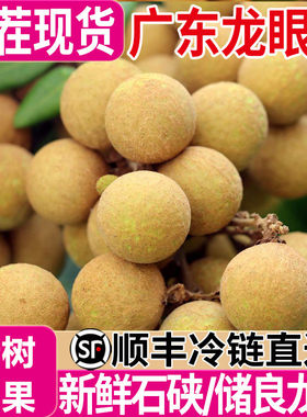 广东新鲜龙眼石硖储良现摘